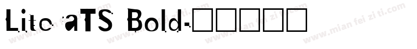 LiteraTS Bold字体转换